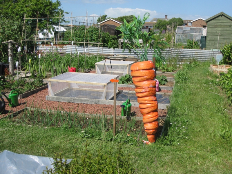 Seaford Allotments